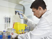 榮譽(yù)資質(zhì)